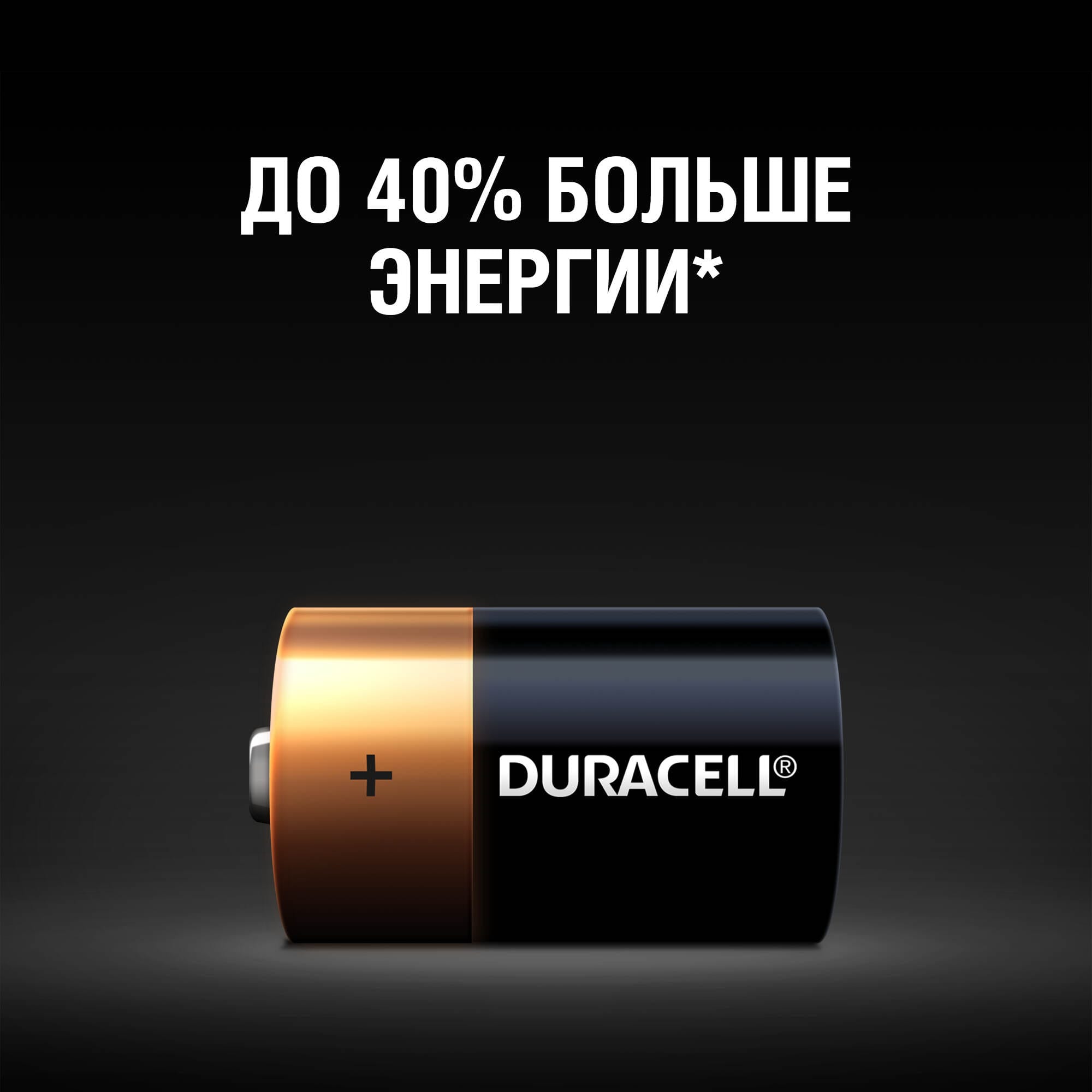 Duracell LR20-2BL NEW (2/20/3300)