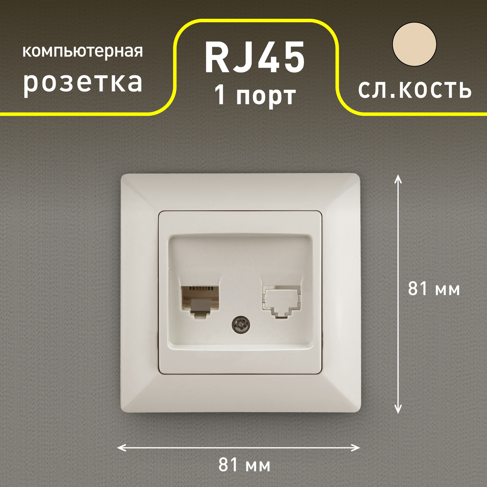 Розетка Intro Solo 4-303-02 информационная RJ45, СУ, слоновая кость